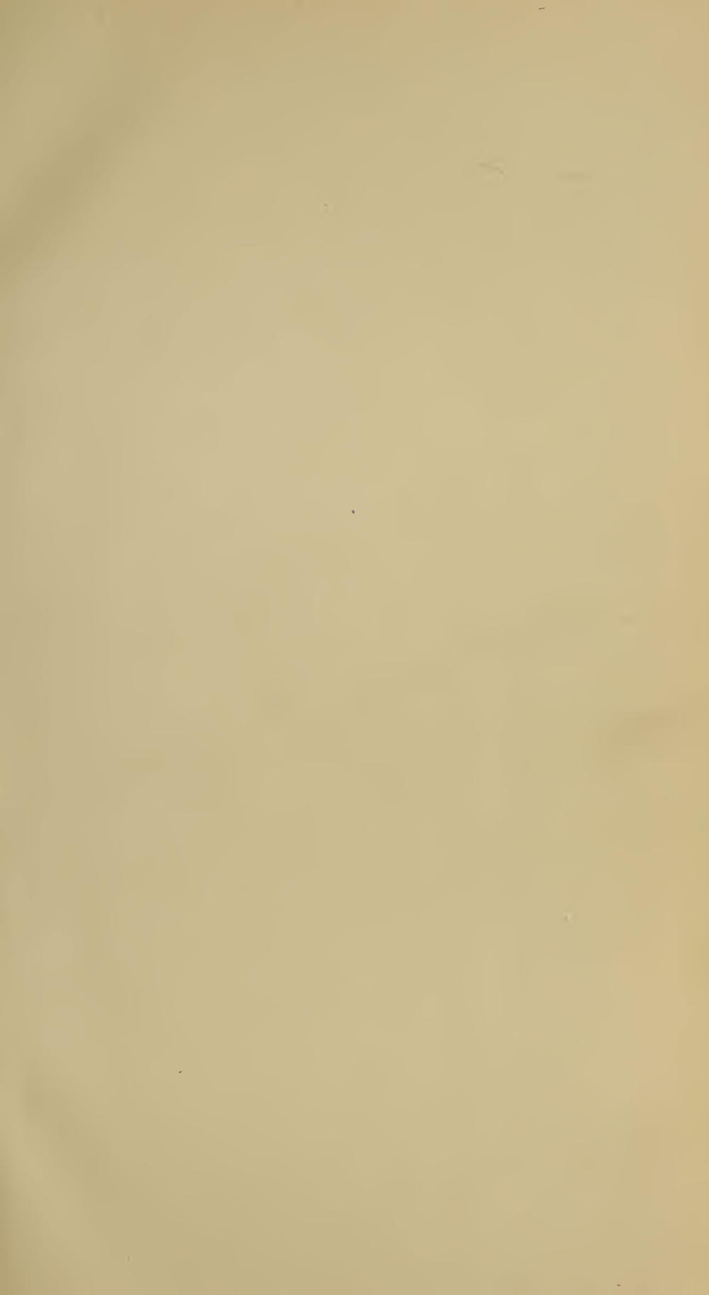 Image of page -4